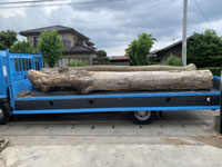 伐採木運搬